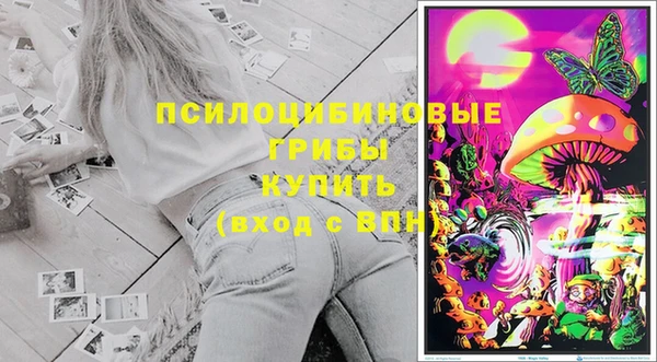дживик Абаза