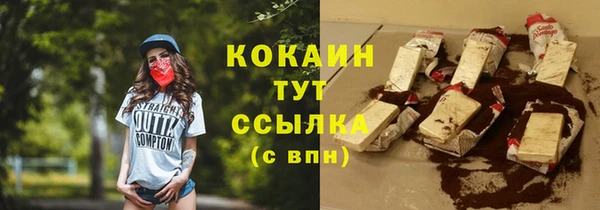 бошки Алексин