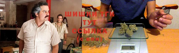 прущий лед Алзамай