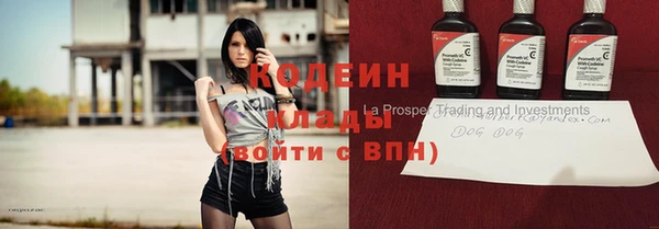 дживик Абаза