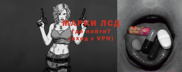 прущий лед Алзамай