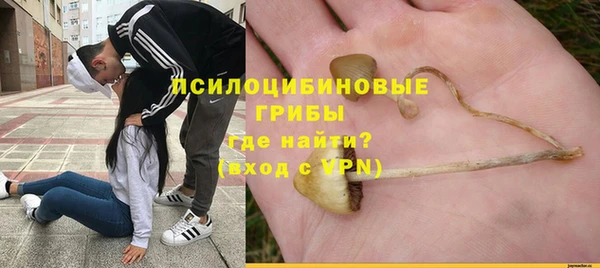 дживик Абаза